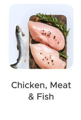  Chicken, Meat & fish